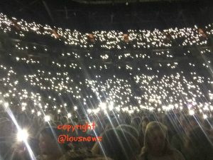 Adele concert