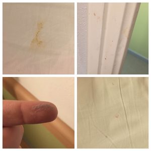 Pic 1, Feaces on bed pic 2, Marks on toilet wall pic 3, Loads of dust pic 4, Blood on bed!