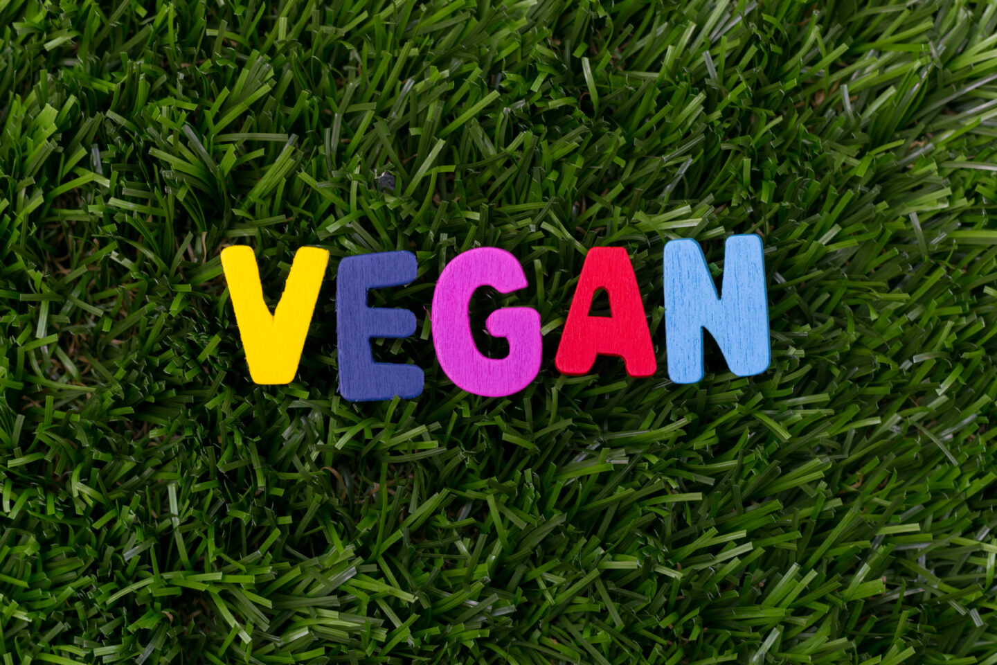 photo showing the word vegan for world vegan day