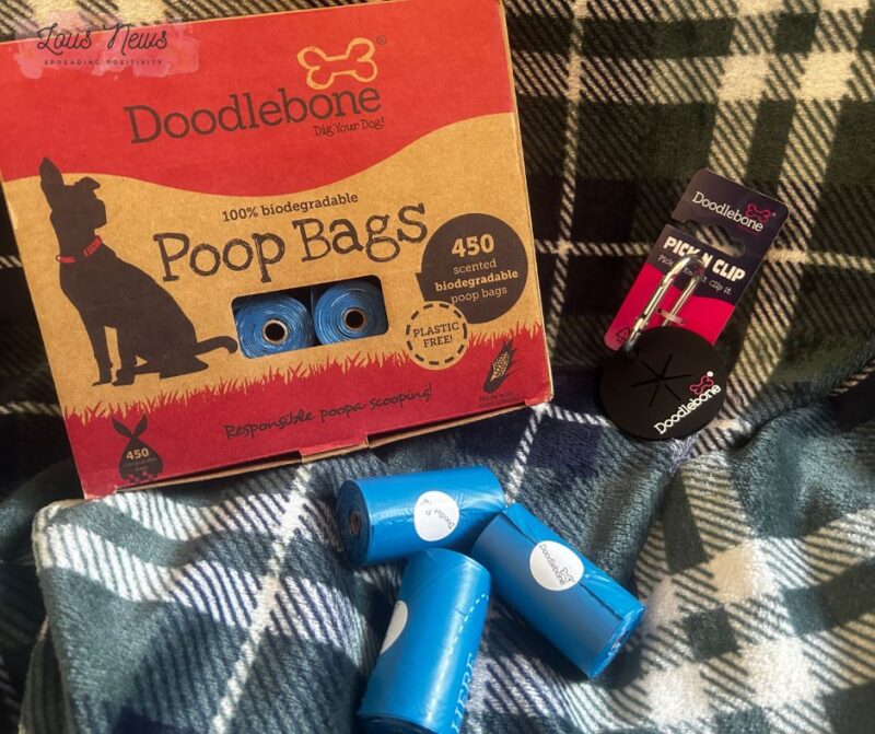 Doodlebone Eco Review